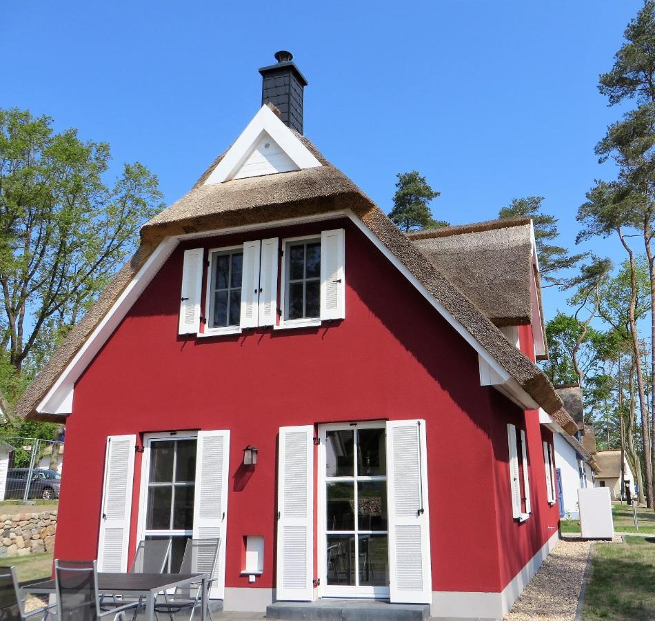 Reetdachhaus Am Haff Mit Sauna, Terrasse, Wlan Zirchow Luaran gambar