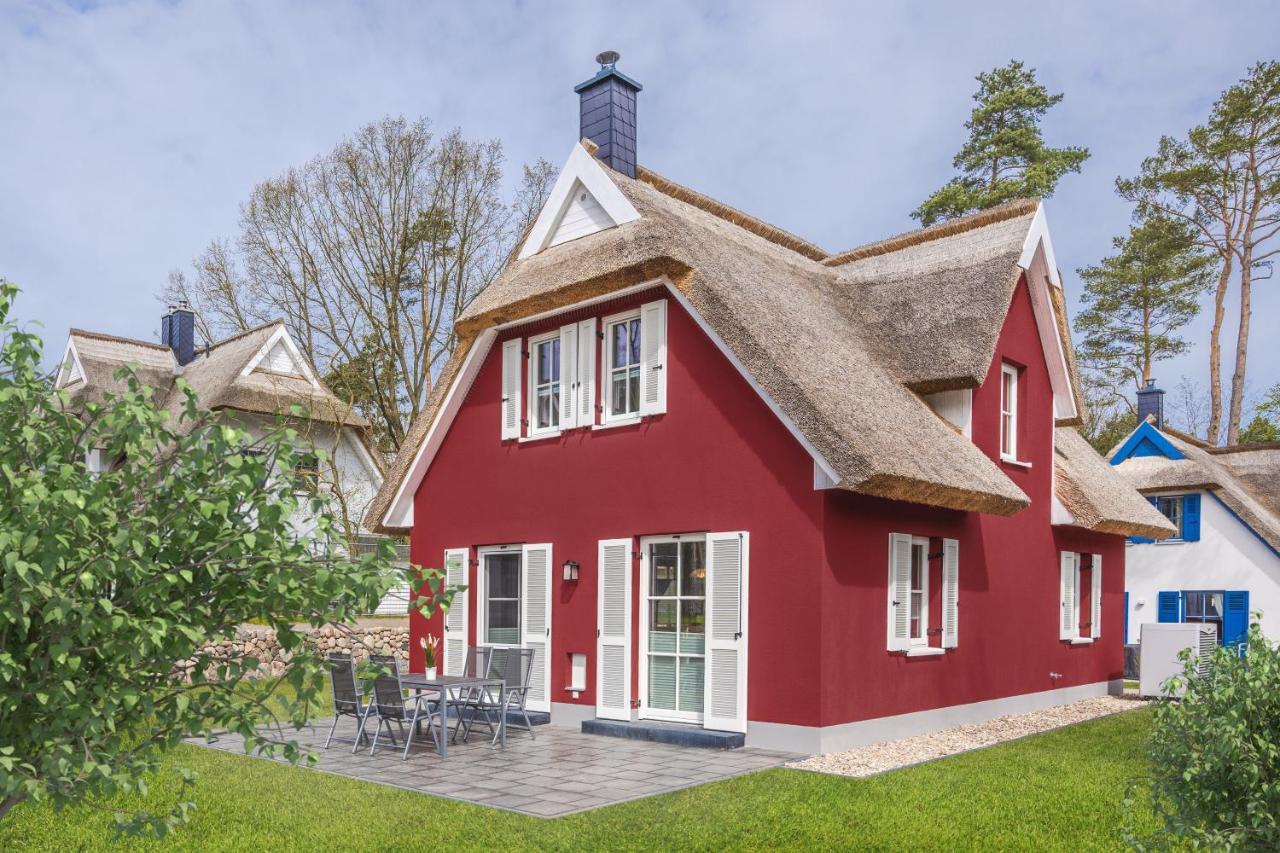 Reetdachhaus Am Haff Mit Sauna, Terrasse, Wlan Zirchow Luaran gambar